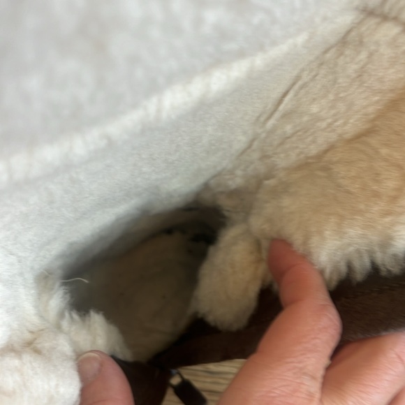 Chocolate Alber UGGs with Zipper (Size 6) - Picture 16 of 16